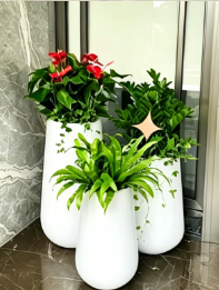 慈溪植物摆放店-江北花卉租赁合同模板-海曙室内植物租赁费用-北仑绿植摆放技巧